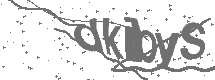 CAPTCHA Image