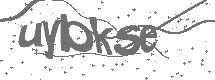 CAPTCHA Image
