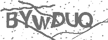 CAPTCHA Image