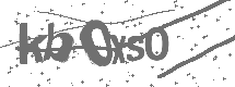 CAPTCHA Image