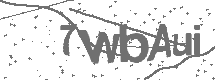 CAPTCHA Image