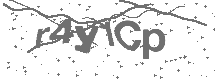 CAPTCHA Image