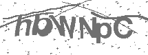CAPTCHA Image