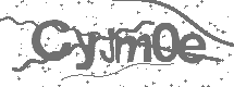 CAPTCHA Image