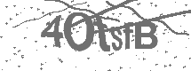 CAPTCHA Image