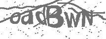 CAPTCHA Image