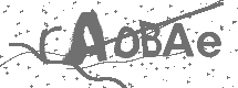 CAPTCHA Image