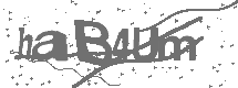 CAPTCHA Image