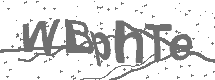 CAPTCHA Image