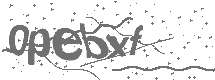CAPTCHA Image