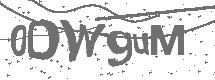 CAPTCHA Image
