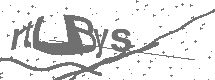 CAPTCHA Image